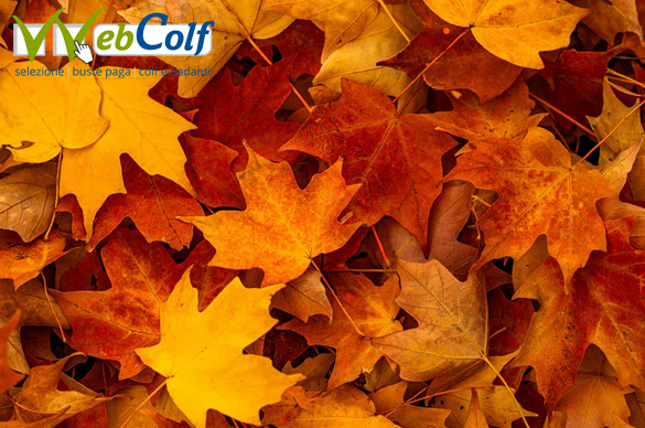 images/autunno%202025.png images/autunno%202025.png