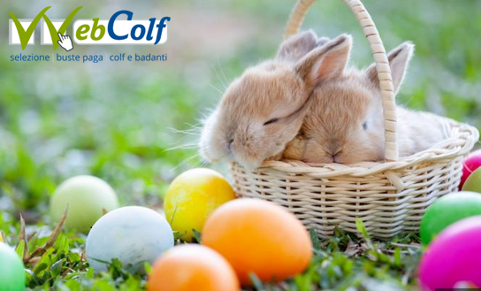 PagoPa colf pagoPa colf